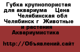Губка крупнопористая для аквариума. › Цена ­ 200 - Челябинская обл., Челябинск г. Животные и растения » Аквариумистика   